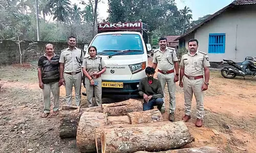 തേ​ക്ക് ത​ടി പി​ടി​കൂ​ടി