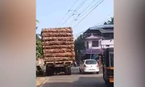 വഴിമുടക്കി തടിലോറികൾ; അധികൃതർ മൗനത്തിൽ