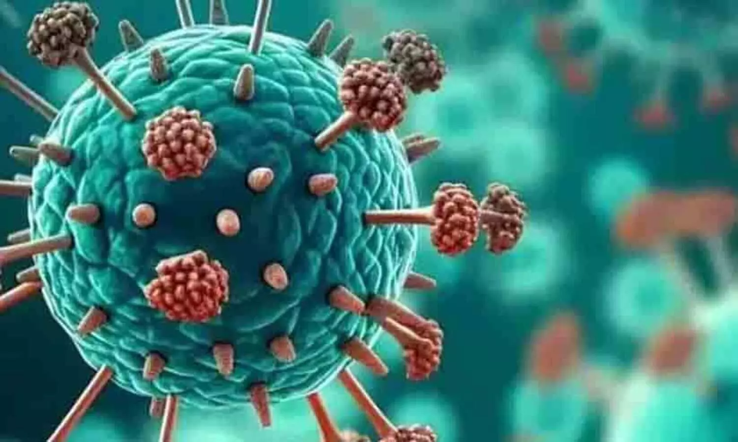 യു.എസിലും കാനഡയിലും പനി ബാധിതരുടെ എണ്ണം പെരുകുന്നു