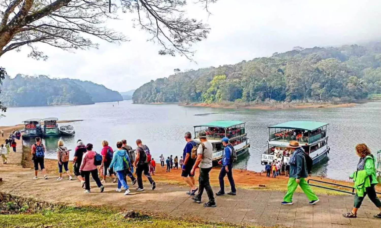 വിദേശ വിനോദസഞ്ചാരികളേറെ; തേക്കടിയിൽ വീണ്ടും ഉണർവ്