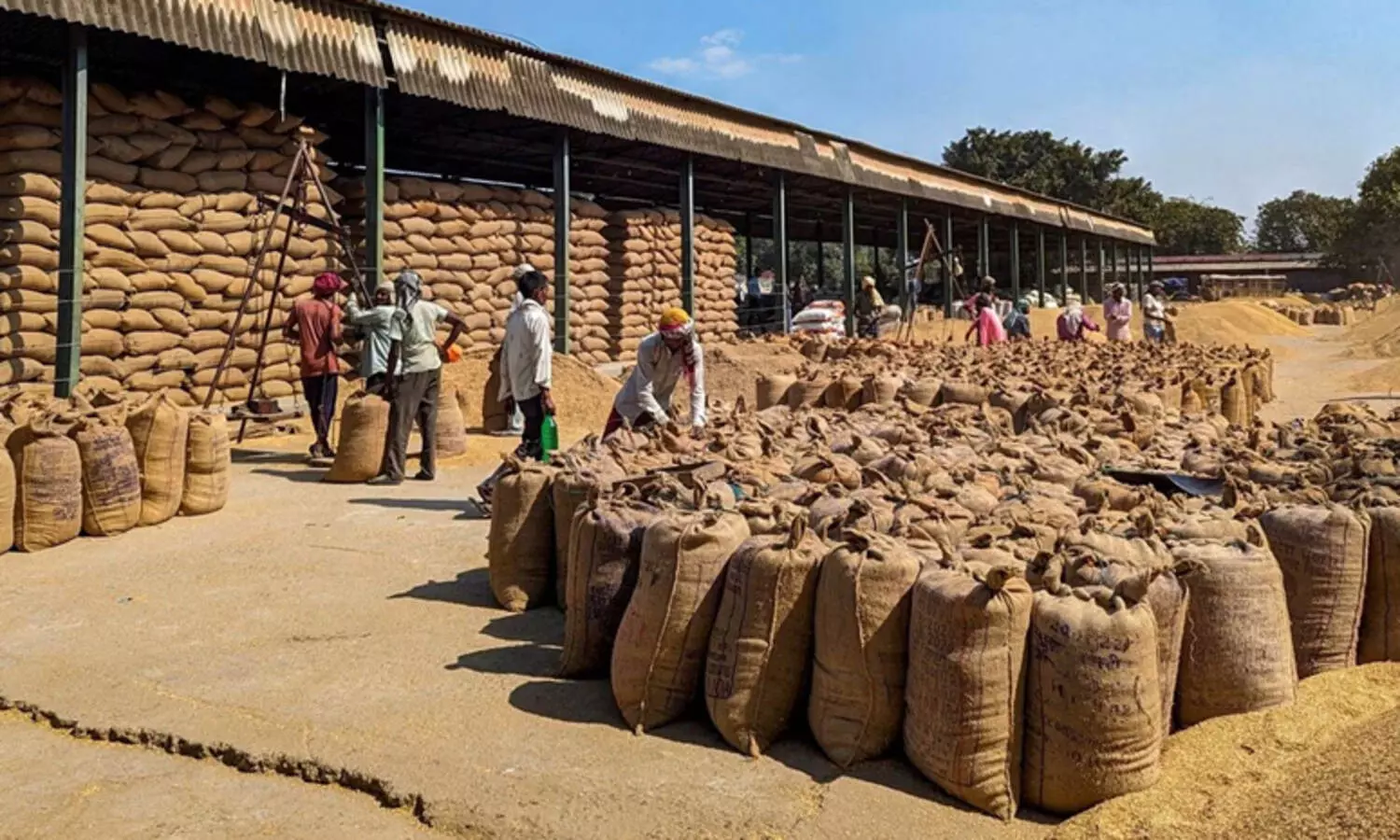 അരി സൂക്ഷിക്കാൻ ഇടമില്ല; തുച്ഛമായ വിലയ്ക്ക് നേരിട്ട് വിൽക്കാൻ സർക്കാർ