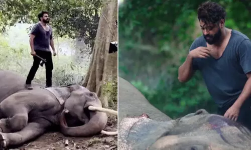 ഇത് മലയാളത്തിൽ ആദ്യം! ആനക്കൊപ്പമുള്ള യഥാർഥ സംഘട്ടന രംഗങ്ങളുമായി കാട്ടാളൻ ടീസറിന്‍റെ ബി.ടി.എസ് വിഡിയോ