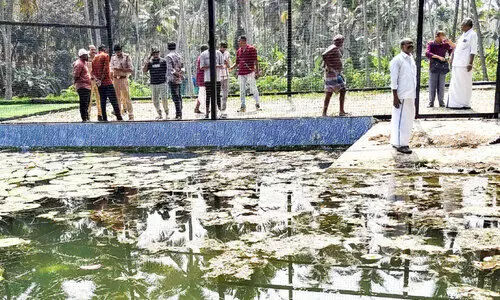 നീന്തൽകുളത്തിലെ വിദ്യാർഥിയുടെ മരണം; അമിത ജലവും ആമ്പൽ വള്ളികളും നീന്തൽകുളത്തിലെ വിദ്യാർഥിയുടെ മരണം; അമിത ജലവും ആമ്പൽ വള്ളികളും