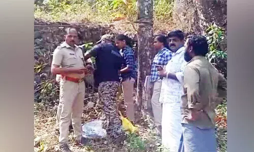 പുലിപ്പേടിയിൽ പാണ്ഡവൻ പാറ: കാമറ സ്ഥാപിച്ചു