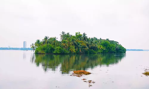 അരൂക്കുറ്റിയിലെ ആളൊഴിഞ്ഞ ചെറുദ്വീപുകൾ പ്രതീക്ഷയുടെ തുരുത്തിൽപ്രതീക്ഷയുടെ തുരുത്തിൽ