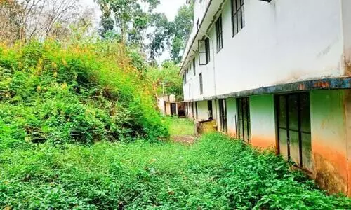 ഇഴജന്തുക്കളുടെയും കാട്ടുപന്നികളുടെയും താവളമായി സ്കൂള്‍ വളപ്പ്