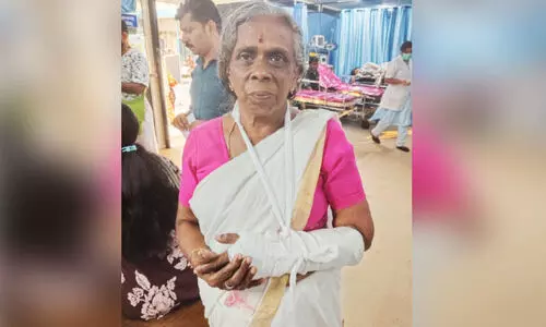 ബസിൽ വീണ് പരിക്കേറ്റ വയോധികയെ റോഡിൽ ഇറക്കി ജീവനക്കാർ കടന്നു ​