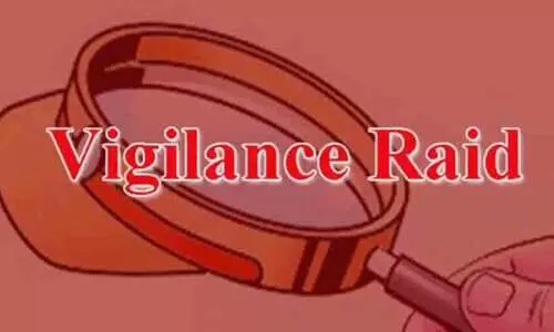 Vigilance raid