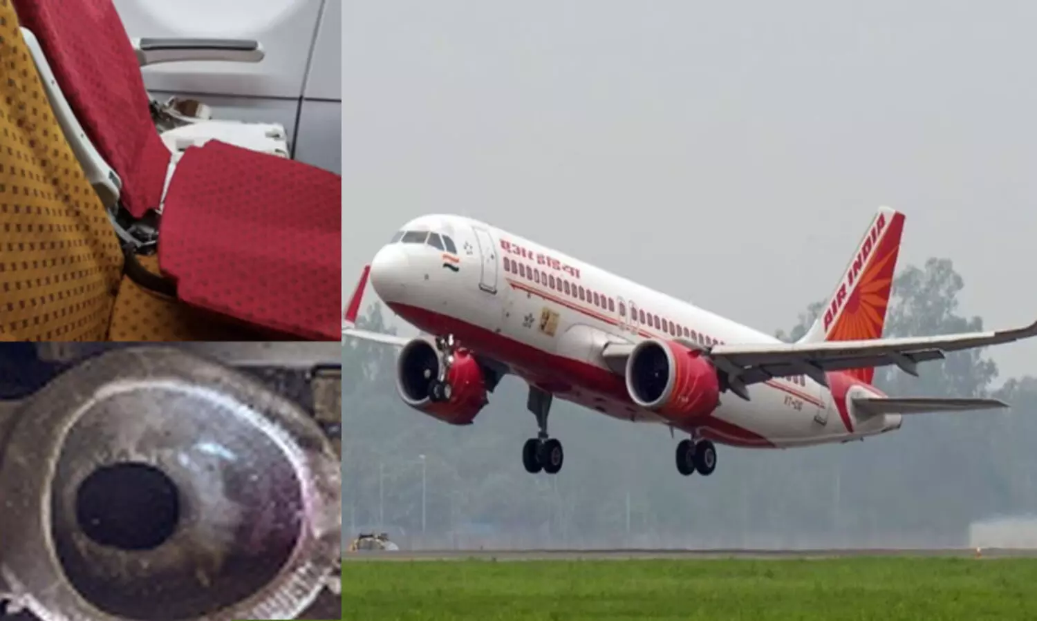 മോശം സേവനം; എയർ ഇന്ത്യ 1.5 ലക്ഷം രൂപ നഷ്ടപരിഹാരം നൽകണം