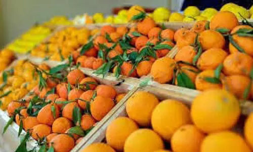 റെ​ക്കോ​ർ​ഡ് വി​ൽ​പ​ന​യു​മാ​യി പാ​കി​സ്താ​ൻ സി​ട്ര​സ് ഫെ​സ്റ്റി​വ​ൽ സ​മാ​പി​ച്ചു