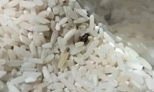 റേ​ഷ​ന്‍ ക​ട​യി​ല്‍ വിതരണം ചെയ്തത് പു​ഴു​ക്ക​ള്‍ നി​റ​ഞ്ഞ പ​ഴ​കി​യ അ​രി