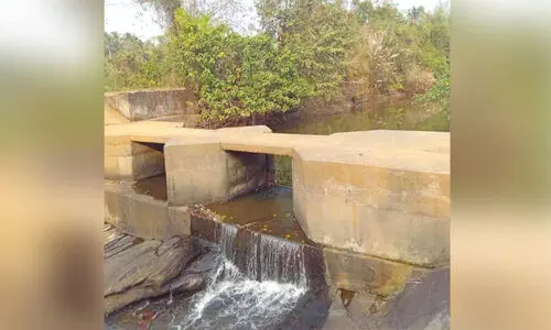 തടയണ സാമൂഹിക വിരുദ്ധർ തകർത്തു; വെള്ളം പാഴായി