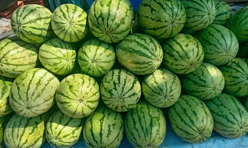 ചൂ​ട് കൂ​ടു​ന്നു; ഇ​നി ‘ത​ണ്ണീ​ർ​മ​ത്ത​ൻ’ ദി​ന​ങ്ങ​ൾ