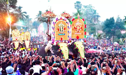 ആനന്ദത്തിൽ ആറാടി ആനയടി ഗജമേള