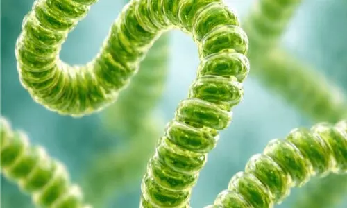 വാണിജ്യാടിസ്ഥാനത്തിൽ സ്പിറുലിന ആൽഗ ഉൽപാദിപ്പിച്ച് എസ്.ക്യു.യു