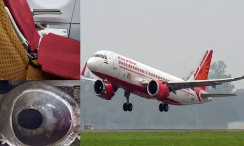 മോശം സേവനം; എയർ ഇന്ത്യ 1.5 ലക്ഷം രൂപ നഷ്ടപരിഹാരം നൽകണം