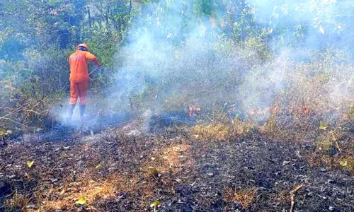 ചാലക്കുടി മേഖലയിൽ മൂന്നിടത്ത് തീപിടിത്തം