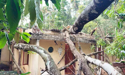 ആനപ്പേടിയിൽ നാട്; മുള്ളരിങ്ങാട്ട് വീട് തകർത്തു