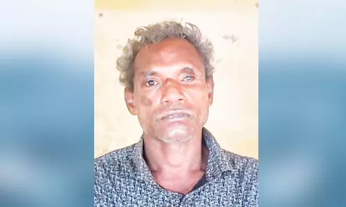 നഗരത്തിലെ ചെടിച്ചട്ടികൾ നശിപ്പിച്ചയാൾ പിടിയിൽ