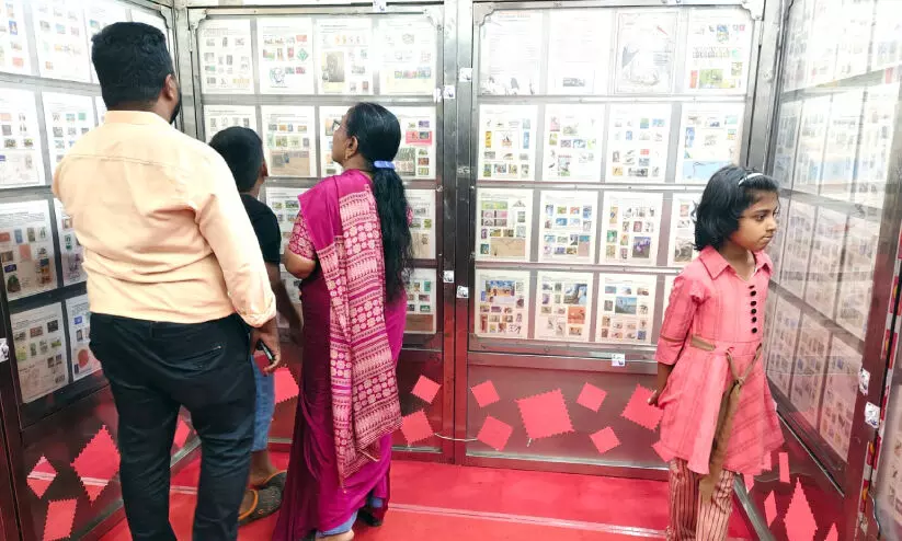 കോടികൾ വിലയുള്ള ‘കുഞ്ഞന്മാർ’ ദേ കൊച്ചിയിൽ! കോടികൾ വിലയുള്ള ‘കുഞ്ഞന്മാർ’ ദേ കൊച്ചിയിൽ!