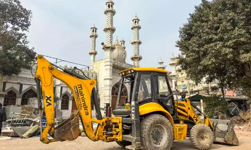 കുരുവിയും കാട്ടുതീയും