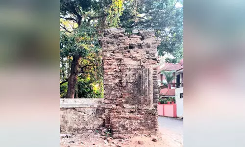 ഹോർത്തൂസ് മലബാറിക്കസിന്‍റെ അവശേഷിക്കുന്ന ശേഷിപ്പും ഇല്ലാതാകുന്നു