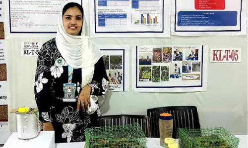 ആഫ്രിക്കൻ ഒച്ചുകളെ തുരത്താനുള്ള വിദ്യയുമായി അധ്യാപിക