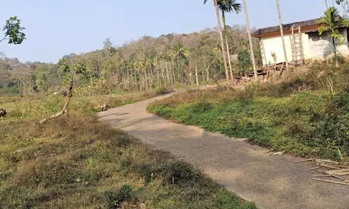 ഇരുളം ഓർക്കടവ്; എങ്ങുമെത്താതെ സ്വയം സന്നദ്ധ പുനരധിവാസ പദ്ധതി