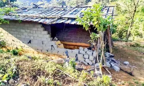 ഇടമലക്കുടിയിൽ വന്യമൃഗശല്യം രൂക്ഷം; വീട് തകർത്തു, വ്യാപകകൃഷി നാശം