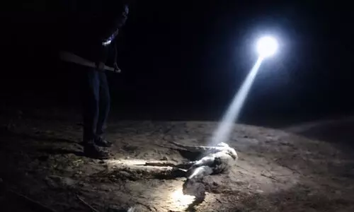 ജനവാസമേഖലയിൽ ഇറങ്ങിയ മുതലയെ തല്ലിക്കൊന്നു; ഗുജറാത്തിൽ രണ്ട് പേർ അറസ്റ്റിൽ, വിഡിയോ വൈറൽ