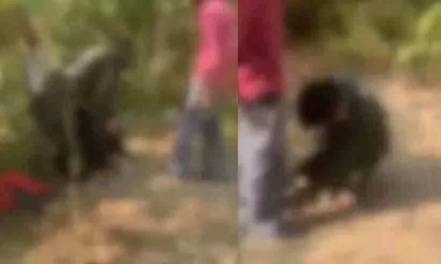 നിലത്തിട്ട് ചവിട്ടി, മുഖത്തും തലക്കും അടിച്ചു, കാലുപിടിച്ച് മാപ്പുപറയിപ്പിച്ചു; വയനാട്ടിൽ 16കാരന് സഹപാഠികളുടെ ക്രൂരമർദനം