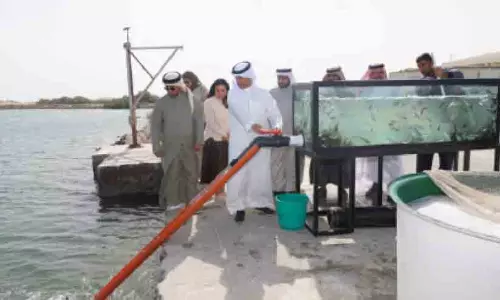 നി​യ​ന്ത്ര​ണ​ങ്ങ​ൾ​ക്കി​ട​യി​ലും ബ​ഹ്‌​റൈ​ൻ വി​പ​ണി​യി​ൽ മ​ത്സ്യ​ല​ഭ്യ​ത വ​ർ​ധി​ച്ചു