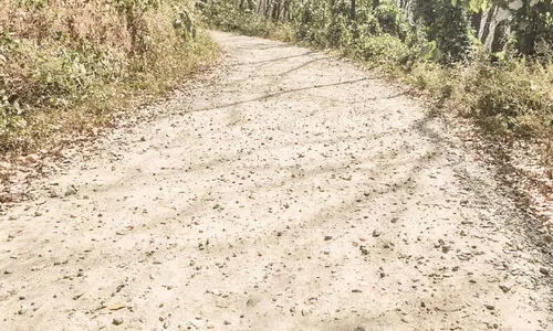 വള്ളിയാങ്കാവ് റോഡ് തകർന്നു;   നാടിന്​ യാത്ര ദുരിതം