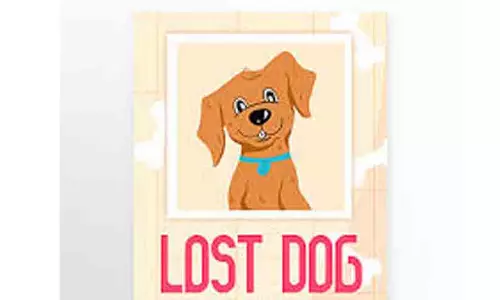 വീ​ണ്ടും പ്ര​തീ​ക്ഷ; എ​ൽ​സി​യെ ക​ണ്ട​താ​യി സൂ​ച​ന