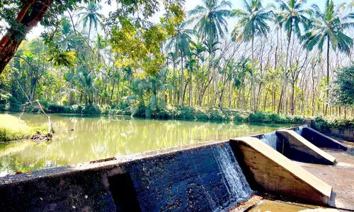 ഉ​ദ​രം​പൊ​യി​ൽ ചി​റ സം​ര​ക്ഷി​ച്ച്   മി​നി ടൂ​റി​സം പ​ദ്ധ​തി ന​ട​പ്പാ​ക്ക​ണം