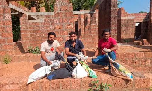 കുമ്പളയിൽ ഇഴജന്തുക്കളുടെ വിളയാട്ടം; അഞ്ച് പെരുമ്പാമ്പുകളെ പിടികൂടി; താൽക്കാലിക ആശ്വാസം