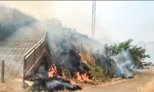 ഇല്ലിക്കൽകല്ലിലെ തീപിടിത്തം  സഞ്ചാരികൾ ഭയപ്പാടിൽ