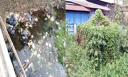 ചിറ്റാർപുഴയിൽ മാലിന്യകേന്ദ്രമായി കോവിൽകടവ്