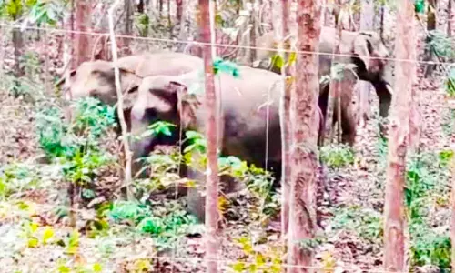 ഭീ​തി വി​ട്ടൊ​ഴി​യാ​തെ നാ​ട്ടു​കാ​ർ