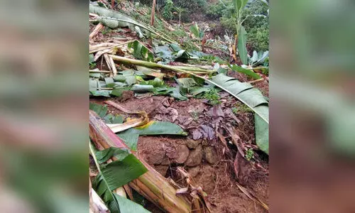 കാട്ടാന ആക്രമണം;പൂവാറംതോടിൽ   ആദിവാസികൾക്ക് ദുരിതം