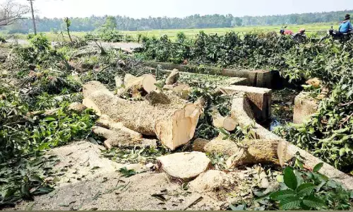 വെ​ഞ്ചാ​ലി എ​ക്‌​സ്പ്ര​സ് ക​നാ​ല്‍; നി​ര്‍മാ​ണ ന​ട​പ​ടി​ക്ക് തു​ട​ക്കം