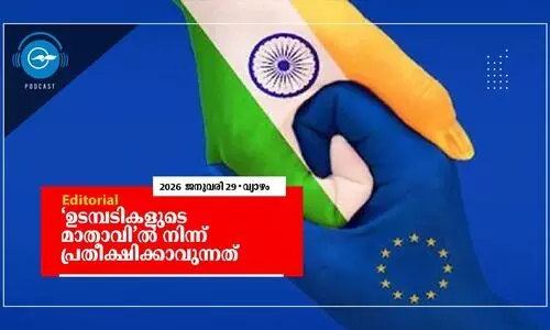 india, european union