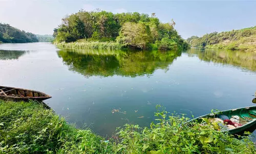 ഇരുവഴിഞ്ഞിപ്പുഴ; പുതുജീവനായി ‘കൂട്ടക്കുളിയും സൗഹൃദ നീന്തലും’