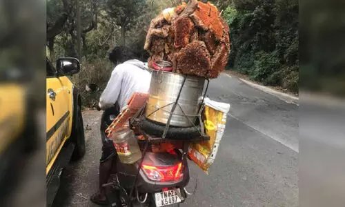 വ്യാജ തേൻ