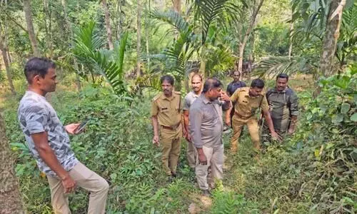 കരിയം കാപ്പിൽ പുലിക്ക് പിന്നാലെ കടുവയും; വളർത്തുനായെ ആക്രമിച്ചു