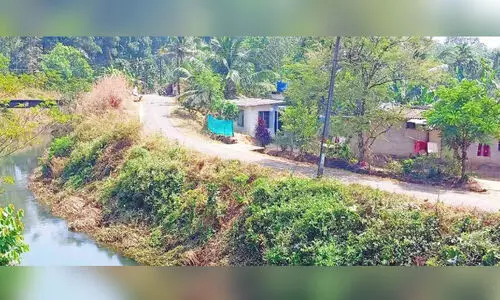 പുനലൂരിൽ കനാൽ പുറമ്പോക്ക് പട്ടയത്തിനായി 629 അപേക്ഷകൾ