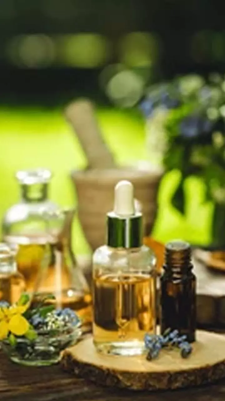 ഒരേ സമയം അലങ്കാരവും ചർമ സംരക്ഷണവും, ഈ ചെടികൾക്ക് ഗുണം പലതാണ് ഒരേ സമയം അലങ്കാരവും ചർമ സംരക്ഷണവും, ഈ ചെടികൾക്ക് ഗുണം പലതാണ്