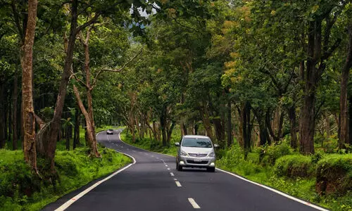 ബന്ദിപ്പൂർ രാത്രിയാത്ര നിരോധനം; തുരങ്കപാതയുടെ സാധ്യത പഠിക്കാൻ വിദഗ്ധ സമിതി