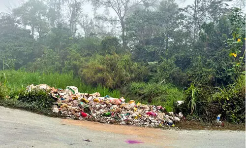 രാത്രിയുടെ മറവിൽ പരിയാരത്ത് റോഡരികിൽ മാലിന്യം തള്ളി