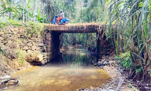 കോട്ടോപ്പാടം, അലനല്ലൂർ പഞ്ചായത്തുകൾക്ക് കൂടുതൽ പരിഗണന കോട്ടോപ്പാടം, അലനല്ലൂർ പഞ്ചായത്തുകൾക്ക് കൂടുതൽ പരിഗണന
